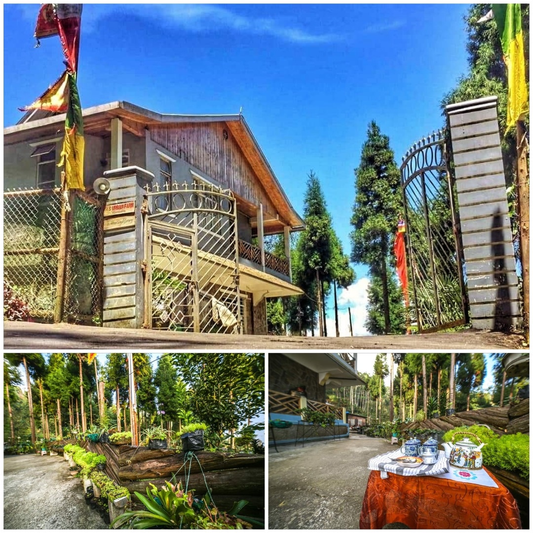 RS homestay